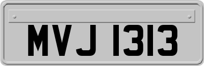 MVJ1313