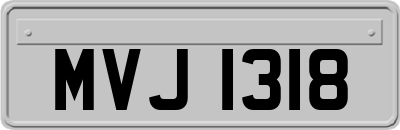 MVJ1318