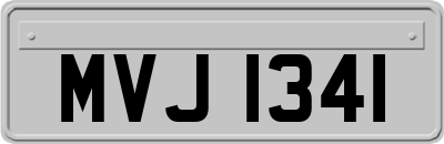 MVJ1341