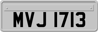 MVJ1713