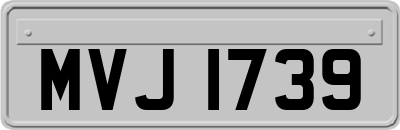 MVJ1739