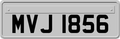MVJ1856