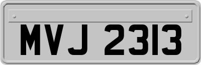 MVJ2313