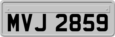 MVJ2859