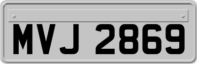 MVJ2869