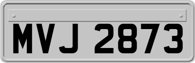MVJ2873