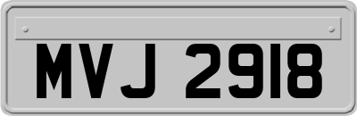 MVJ2918