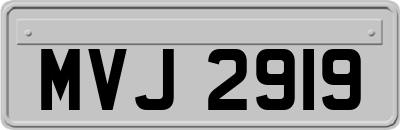 MVJ2919