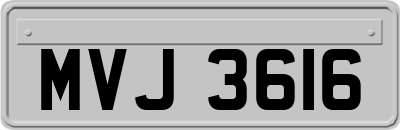 MVJ3616