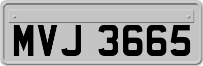 MVJ3665