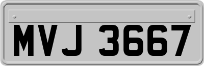 MVJ3667