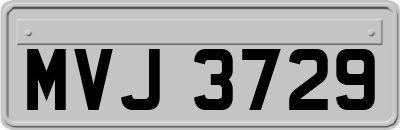 MVJ3729