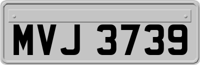 MVJ3739