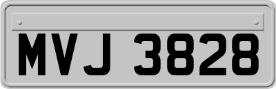 MVJ3828