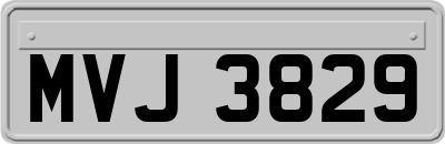 MVJ3829