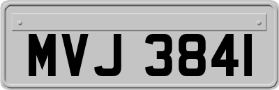 MVJ3841
