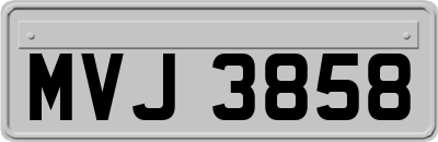MVJ3858