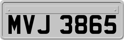 MVJ3865