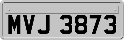 MVJ3873