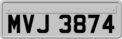 MVJ3874