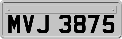 MVJ3875