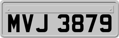 MVJ3879