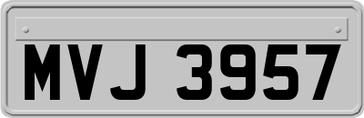 MVJ3957