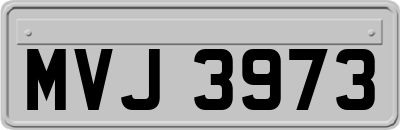 MVJ3973