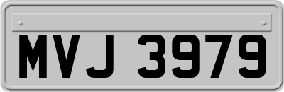 MVJ3979