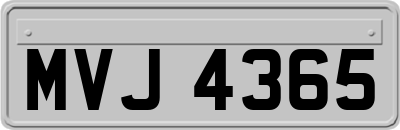 MVJ4365