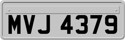 MVJ4379