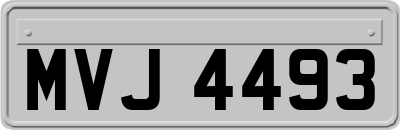 MVJ4493