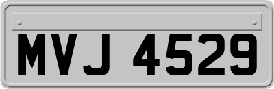 MVJ4529
