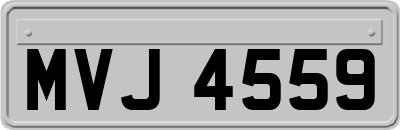 MVJ4559