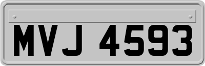MVJ4593