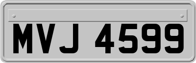 MVJ4599