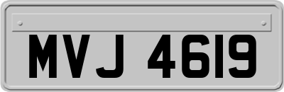 MVJ4619