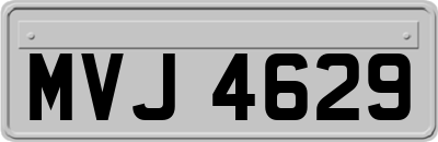 MVJ4629