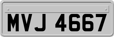 MVJ4667