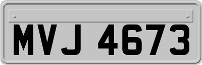 MVJ4673