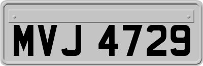 MVJ4729