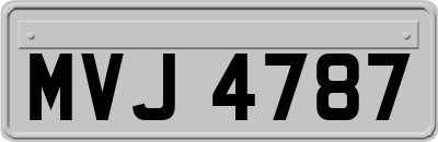 MVJ4787