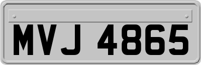 MVJ4865