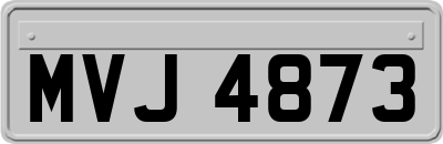 MVJ4873