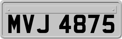 MVJ4875