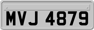 MVJ4879