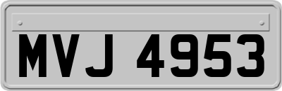 MVJ4953