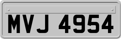 MVJ4954