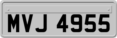 MVJ4955