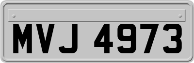 MVJ4973